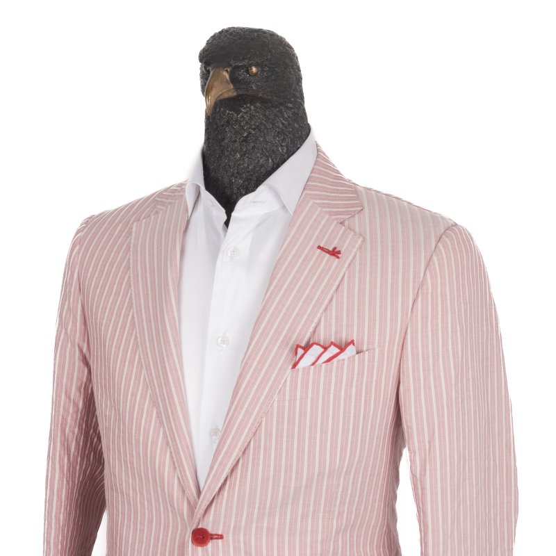 Blazer Isaia